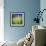 Grass Blade-Ursula Abresch-Framed Photographic Print displayed on a wall