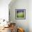 Grass Blade-Ursula Abresch-Framed Photographic Print displayed on a wall