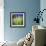 Grass Blade-Ursula Abresch-Framed Photographic Print displayed on a wall