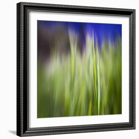 Grass Blade-Ursula Abresch-Framed Photographic Print