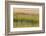 Grass , Cape Cod National Seashore, Massachusetts-Jerry and Marcy Monkman-Framed Photographic Print