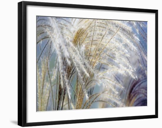 Grass Diptych Left-Ken Bremer-Framed Giclee Print