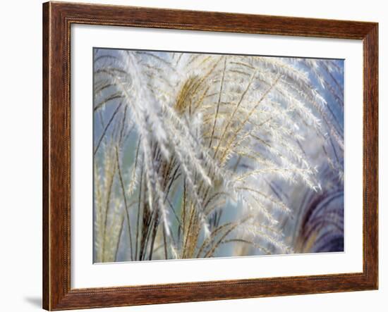 Grass Diptych Left-Ken Bremer-Framed Giclee Print