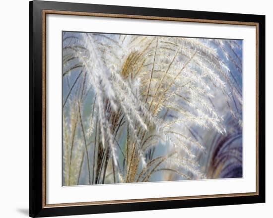 Grass Diptych Left-Ken Bremer-Framed Giclee Print