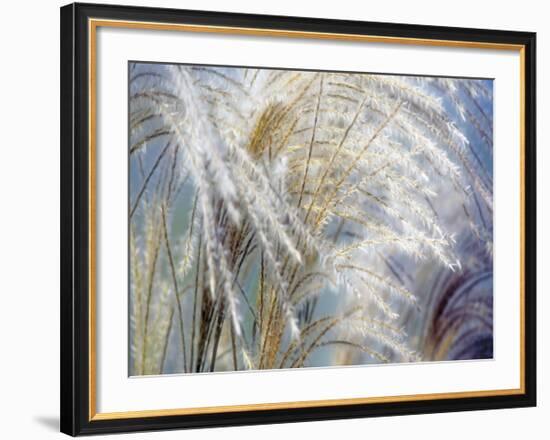 Grass Diptych Left-Ken Bremer-Framed Giclee Print