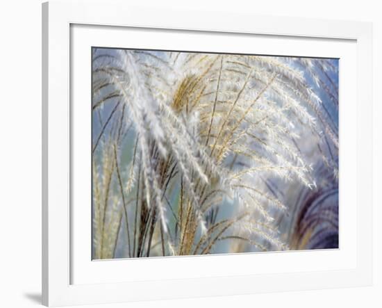 Grass Diptych Left-Ken Bremer-Framed Giclee Print