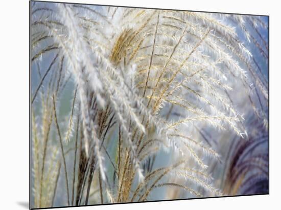 Grass Diptych Left-Ken Bremer-Mounted Giclee Print