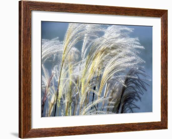 Grass Diptych Right-Ken Bremer-Framed Giclee Print