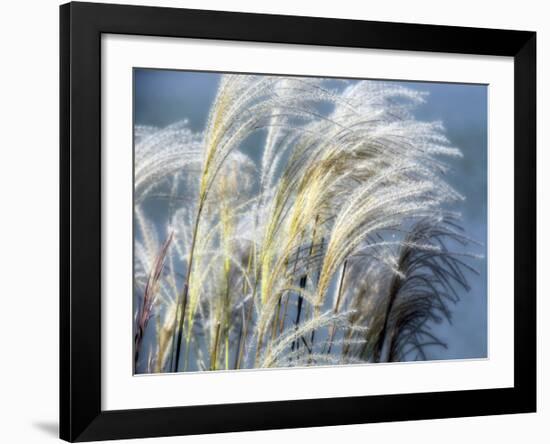 Grass Diptych Right-Ken Bremer-Framed Giclee Print