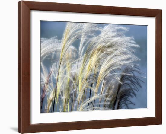 Grass Diptych Right-Ken Bremer-Framed Giclee Print