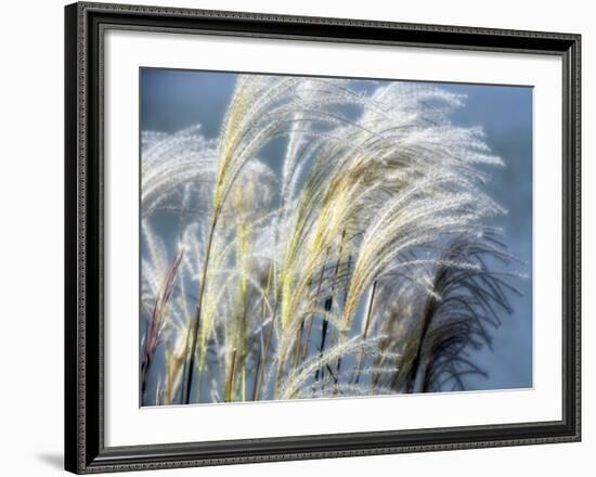 Grass Diptych Right-Ken Bremer-Framed Giclee Print