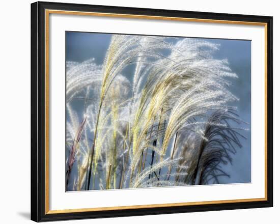 Grass Diptych Right-Ken Bremer-Framed Giclee Print