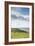 Grass-Fed Cattle Grazing On Open Grass Farmland Of The Point Reyes National Seashore, Northern CA-Shea Evans-Framed Photographic Print