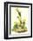 Grass Finch Or Bay-Winged Bunting-John James Audubon-Framed Art Print