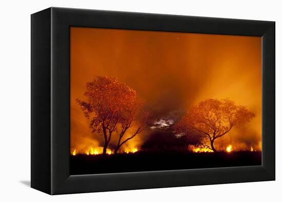 Grass Fire at Night in Pantanal, Brazil-Bence Mate-Framed Premier Image Canvas