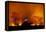 Grass Fire at Night in Pantanal, Brazil-Bence Mate-Framed Premier Image Canvas
