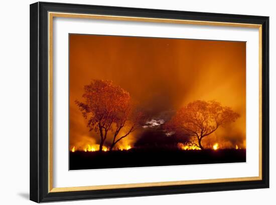 Grass Fire at Night in Pantanal, Brazil-Bence Mate-Framed Photographic Print