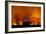 Grass Fire at Night in Pantanal, Brazil-Bence Mate-Framed Photographic Print