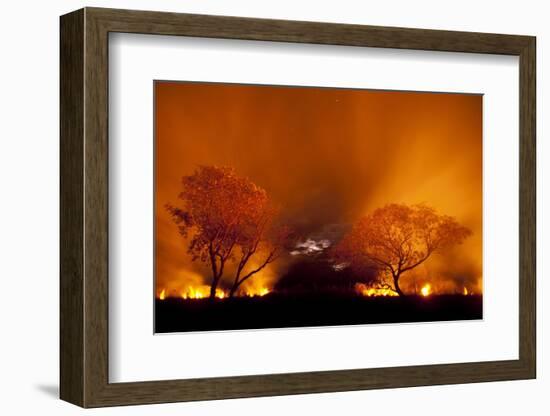 Grass Fire at Night in Pantanal, Brazil-Bence Mate-Framed Photographic Print