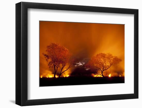 Grass Fire at Night in Pantanal, Brazil-Bence Mate-Framed Photographic Print