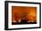 Grass Fire at Night in Pantanal, Brazil-Bence Mate-Framed Photographic Print