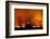 Grass Fire at Night in Pantanal, Brazil-Bence Mate-Framed Photographic Print