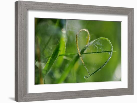 Grass Formed Itself in a Heart Shape with Morning Dew-Frank May-Framed Photo