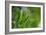 Grass Formed Itself in a Heart Shape with Morning Dew-Frank May-Framed Photo