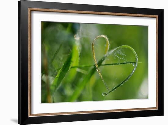 Grass Formed Itself in a Heart Shape with Morning Dew-Frank May-Framed Photo