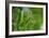 Grass Formed Itself in a Heart Shape with Morning Dew-Frank May-Framed Photo