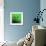 Grass (green), c.2011-Davide Polla-Framed Premium Giclee Print displayed on a wall