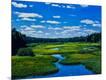 Photographic Print