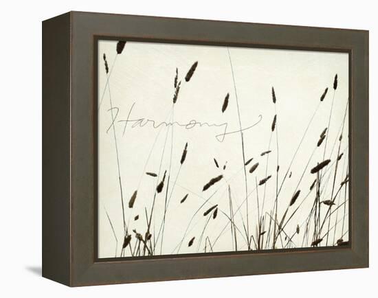 Grass Harmony-Amy Melious-Framed Stretched Canvas