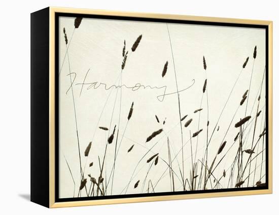 Grass Harmony-Amy Melious-Framed Stretched Canvas