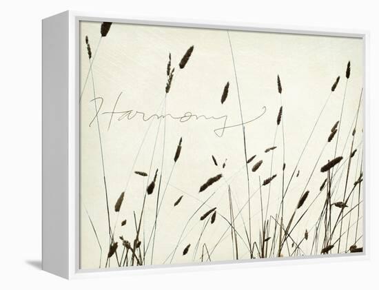 Grass Harmony-Amy Melious-Framed Stretched Canvas