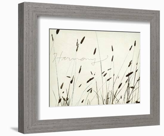 Grass Harmony-Amy Melious-Framed Art Print