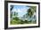 Grass Huts, Baoruca, Dominican Republic-Natalie Tepper-Framed Photo