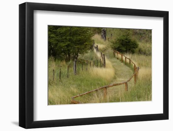 Grass lined pathway, Los Glaciares National Park, Argentina, South America, Patagonia-Adam Jones-Framed Photographic Print