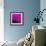 Grass (magenta), c.2011-Davide Polla-Framed Premium Giclee Print displayed on a wall