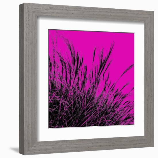 Grass (magenta), c.2011-Davide Polla-Framed Premium Giclee Print