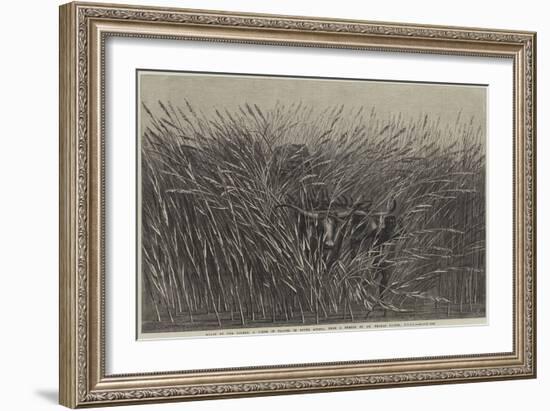 Grass of the Desert, a Scene of Travel in South Africa-Thomas Baines-Framed Giclee Print