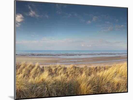 Grass on the Beach, Holme Dunes, Norfolk, England-null-Mounted Photographic Print