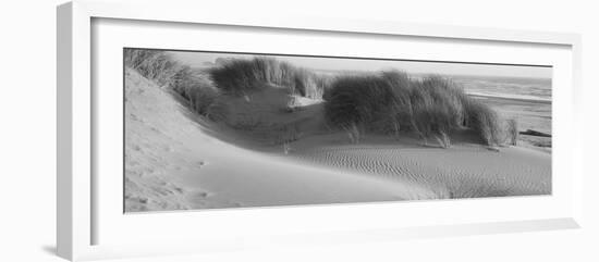 Grass on the Beach, Pacific Ocean, Bandon State Natural Area, Bandon, Oregon, USA-null-Framed Photographic Print