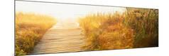 Premium Photographic Print