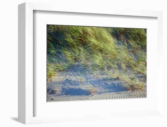 Grass on the sands of Lake Michigan, Indiana Dunes, Indiana, USA-Anna Miller-Framed Photographic Print