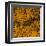 Grass (orange), c.2011-Davide Polla-Framed Premium Giclee Print