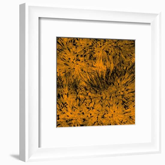 Grass (orange), c.2011-Davide Polla-Framed Premium Giclee Print