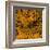 Grass (orange), c.2011-Davide Polla-Framed Premium Giclee Print