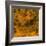 Grass (orange), c.2011-Davide Polla-Framed Premium Giclee Print