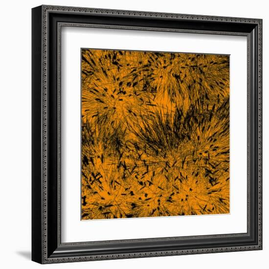 Grass (orange), c.2011-Davide Polla-Framed Premium Giclee Print